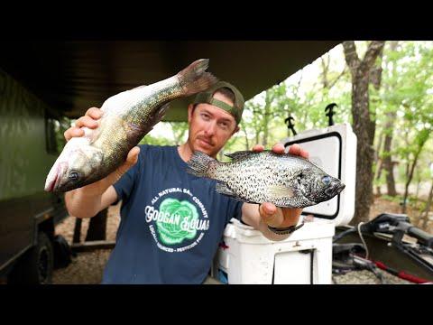 Bass vs Crappie: A Detailed Guide on Catching, Cleaning, and Cooking
