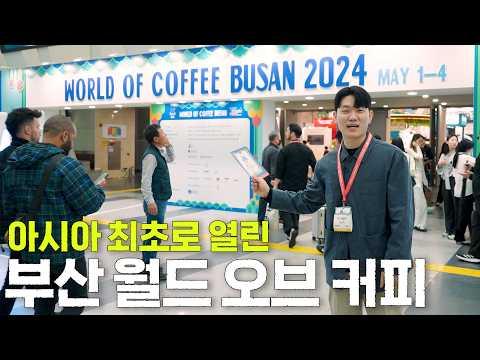 Discover the Vibrant Coffee Culture of Busan: A Coffee Enthusiast's Guide