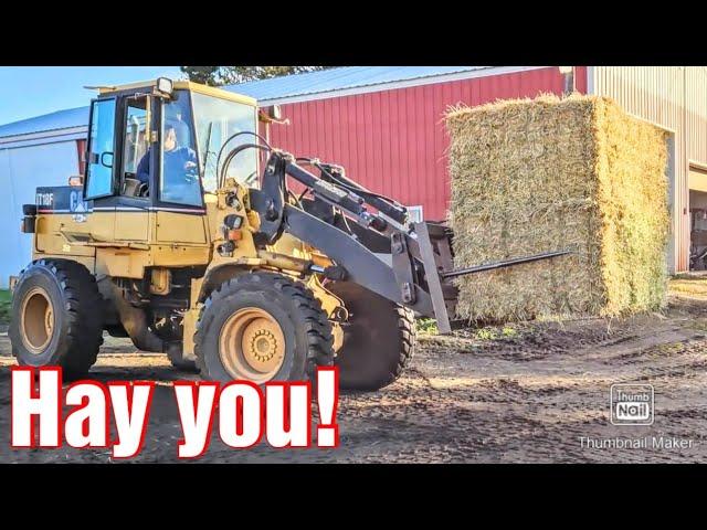 Farm Vlog: Hay Pickup and Winter Feeding Update 🚜