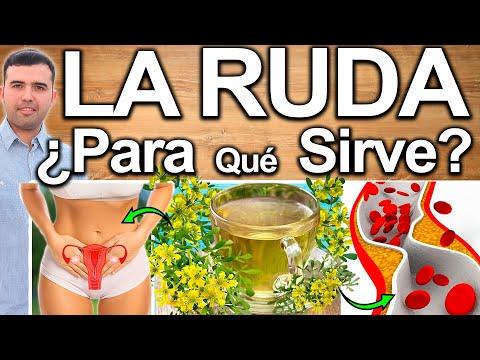 Descubre los Beneficios de la Ruda en la Medicina Tradicional