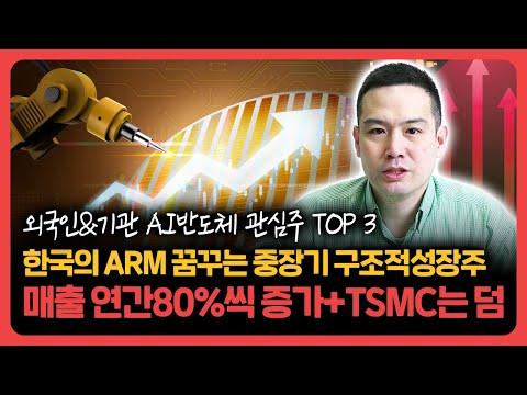 AI 반도체 시장의 성장과 투자 전략