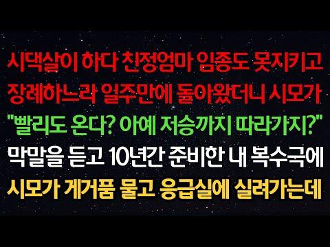 10년간 준비한 복수극! 시댁살이 여성의 이야기