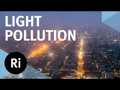 The Impact of Light Pollution on Ecology and Wildlife