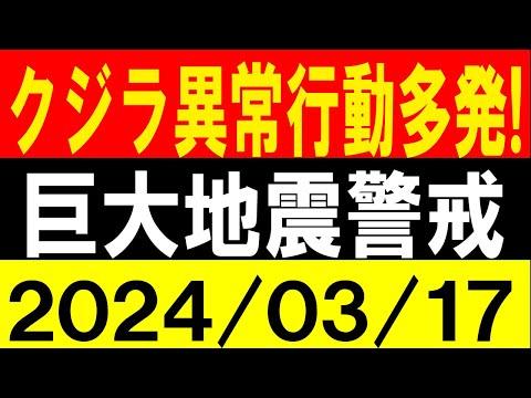 巨大地震の警戒！クジラ異常行動の謎に迫る