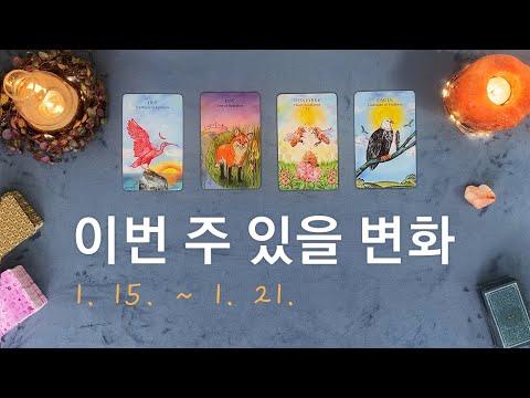 [타로/주간운세] 1월 셋째 주 종합운(1. 15. ~ 1. 21.)