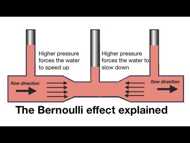 Unraveling the Mysteries of Fluid Dynamics: Bernoulli, Magnus, and Venturi Effects