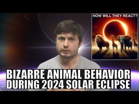 Unveiling the Mysteries of Animal Behavior During the 2024 Solar Eclipse