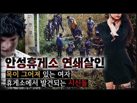 안성 휴게소 연쇄 범죄 사건: 사건 개요 및 수사 진행 상황