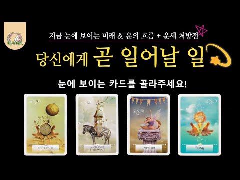 [타로] 미래를 밝히는 운세 타로카드 설명서