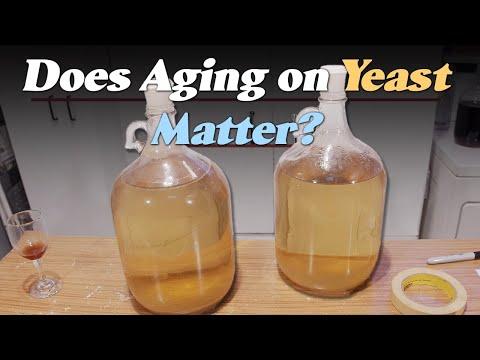 Unlocking the Secrets of Aging on Dead Yeast: A Comprehensive Guide for Homebrewers