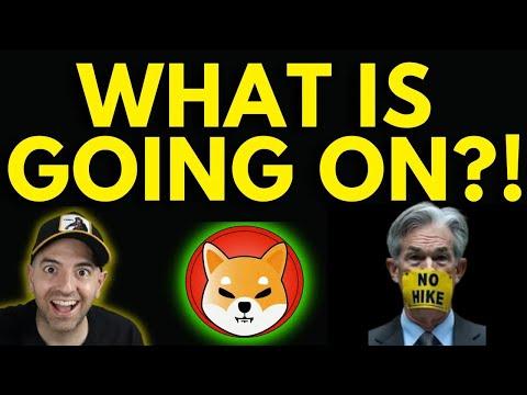 Shiba Inu Coin: Market Analysis and Future Predictions