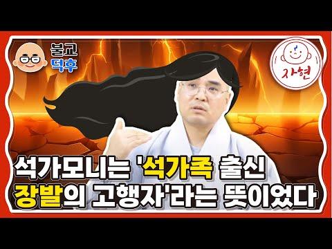 불교와 관계, 연예, 제품, 언어에 대한 이야기