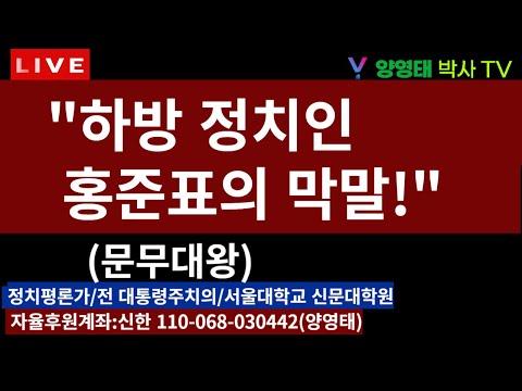 홍준표와 한동훈의 정치 갈등: 문무대왕의 비판과 분석