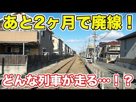 名古屋港線の貨物列車撮影体験