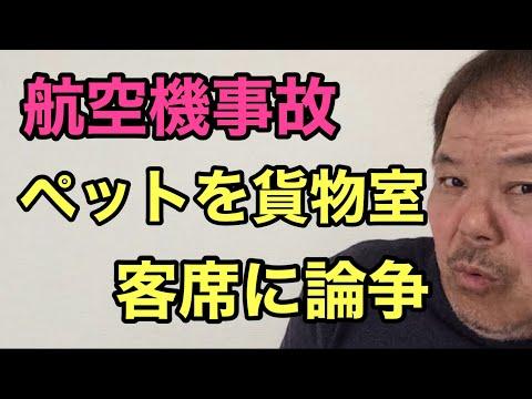 航空機事故でのペットの貨物室輸送に関する議論