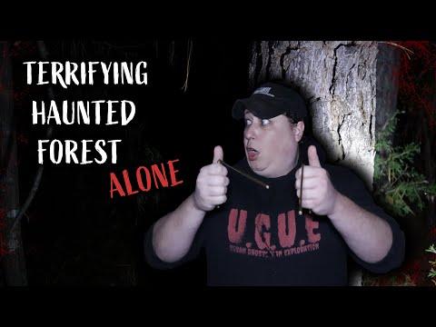 Exploring the Haunted Devil's Forest: A YouTuber's Creepy Encounter