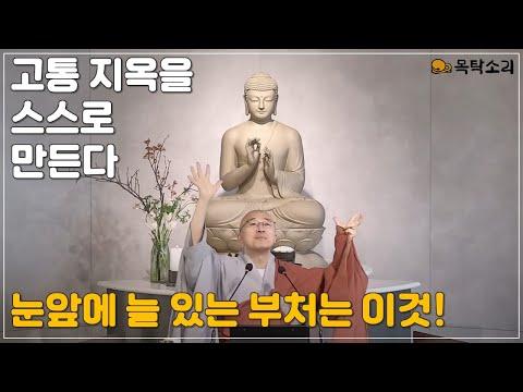 [돈오86] 눈앞에 늘 있는 부처의 현실적 가르침