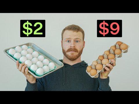 Are Expensive Eggs Worth the Hype? A Comprehensive Taste Test Reveals the Truth