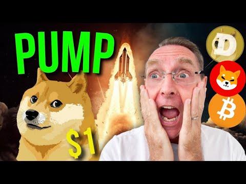 Bitcoin and Dogecoin Market Update: Analysts Predicting $1 Dogecoin and $100,000 Bitcoin