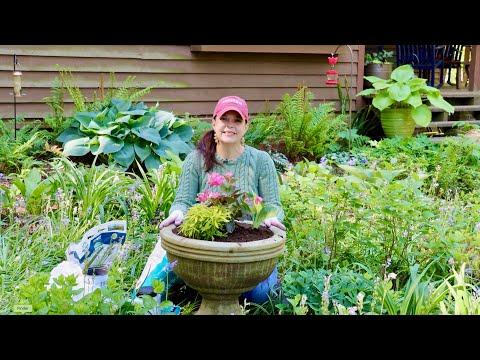 Transforming Mimi's Garden: A Container Planting Masterclass