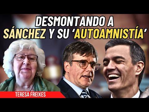 Desmontando la 'autoamnistía' del socialista: Teresa Freixes revela la censura en redes sociales