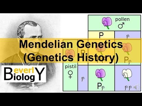 Unlocking the Secrets of Mendelian Genetics: A Comprehensive Guide