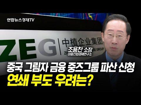 중국 그림자 금융 '중즈 그룹' 파산으로 인한 금융위기에 대한 전망