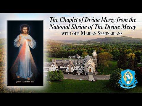 Discover the Power of Mercy: Chaplet of the Divine Mercy Overview