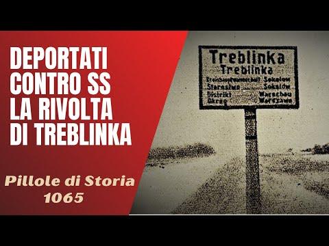 The Treblinka Uprising: A Story of Horror and Courage