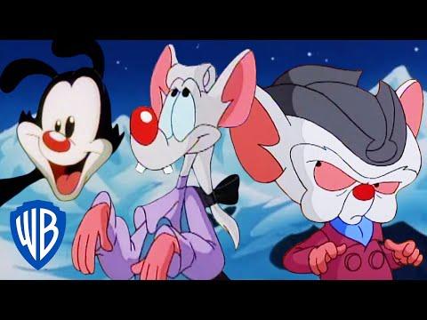 Unleashing the Power of Pinky and the Brain: A Classic Cartoon Compilation