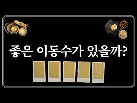 타로 카드로 알아보는 좋은 이동수(feat.취업,이직,이사)