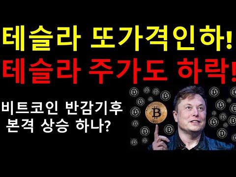 테슬라와 비트코인 시장 분석 및 전망