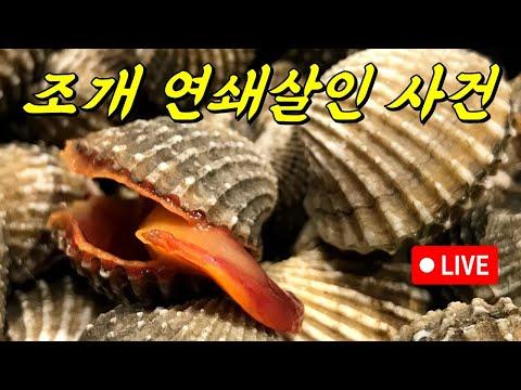 조개 집단 폐사 미스터리 해결! 암 전염성에 대한 새로운 발견