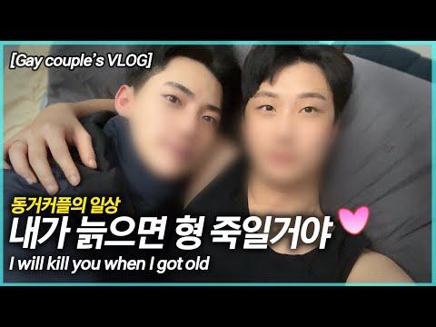 게이커플 VLOG: 편의점 데이트와 유기견 임시보호 브이로그