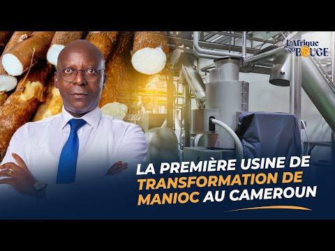 Révolutionner l'industrie du manioc au Cameroun: l'histoire de Bertin Tofo