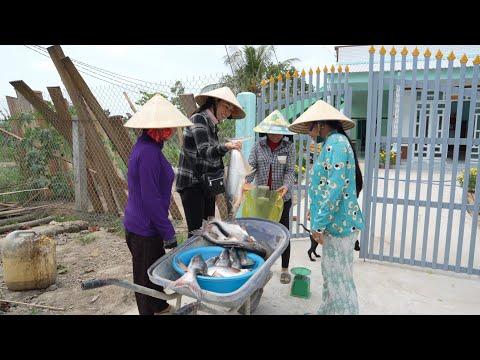 Unveiling the Exciting World of Fish Selling in Vietnam