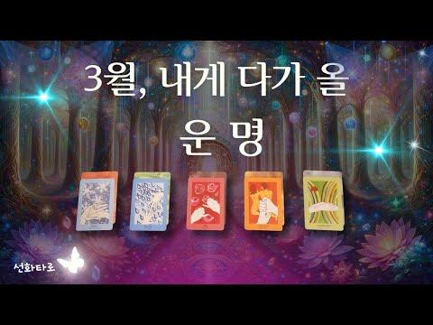 [타로|3월🔮] 3월, 내게 다가 올 운명 (3월 종합운) - 심층 분석 및 전망