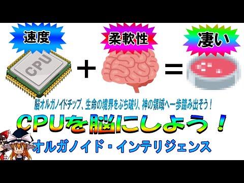 オルガノイド・インテリジェンス：脳みそ最強の未来を探る