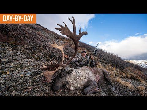 Thrilling Mountain Caribou Hunt: A Hunter's Adventure