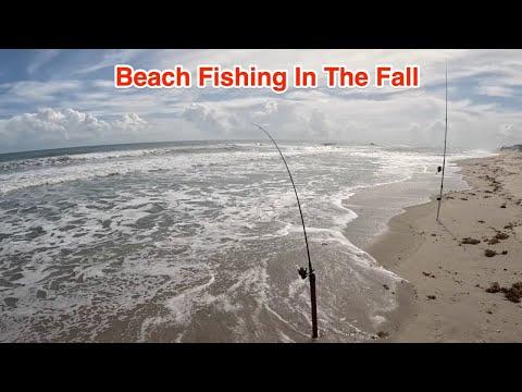 Mastering Beach Fishing: Tips and Tricks for Beginners