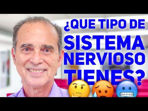 Descubre tu tipo de sistema nervioso y su impacto en la salud