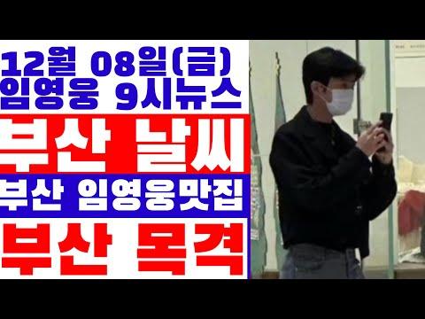 임영웅 9시뉴스(12월 08일) - 부산 목격, 콘서트 추가 결정, 맛집 소개