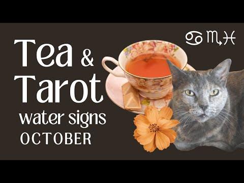 Unlocking Your Future: Cancer October 2023 Tea Leaf and Tarot Card Reading