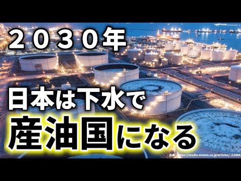 日本のバイオマスエネルギー革命：2030年に向けた展望