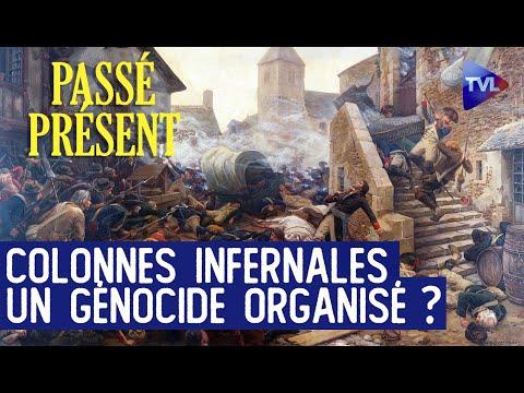 Le Génocide en Vendée : Les Colonnes Infernales sous un Nouveau Regard