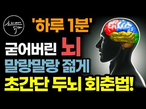 뇌과 명상으로 뇌 기능 향상하기: 초간단 비법과 치매 예방