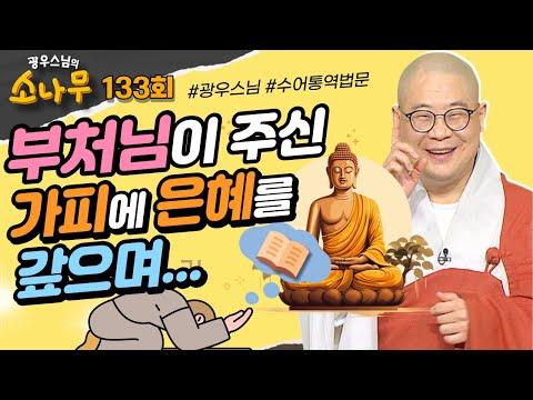 불교의 인연과 기도에 대한 깊은 이해