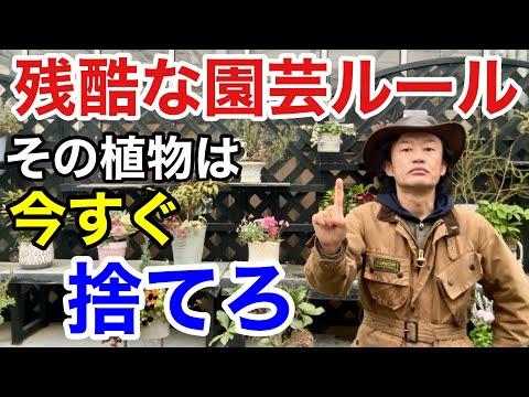 【植物の断捨離】上手な方法と注意点を徹底解説！