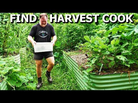 Discovering Hidden Treasures in an Overgrown Vegetable Garden