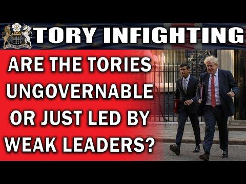 The Tory Party: Disunity, Weak Leadership, and the Danger of Extreme Brexit